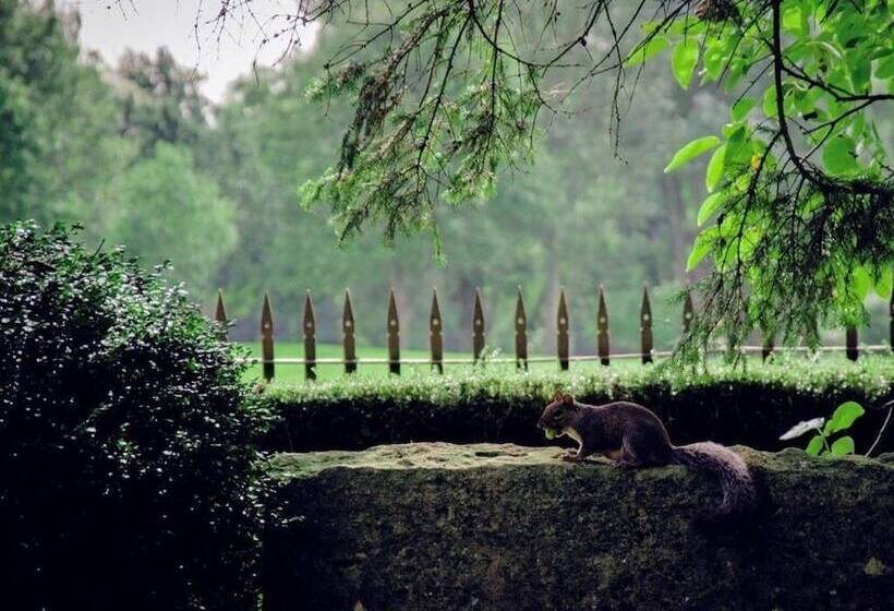 בית מלון כפרי The Nyton Guesthouse