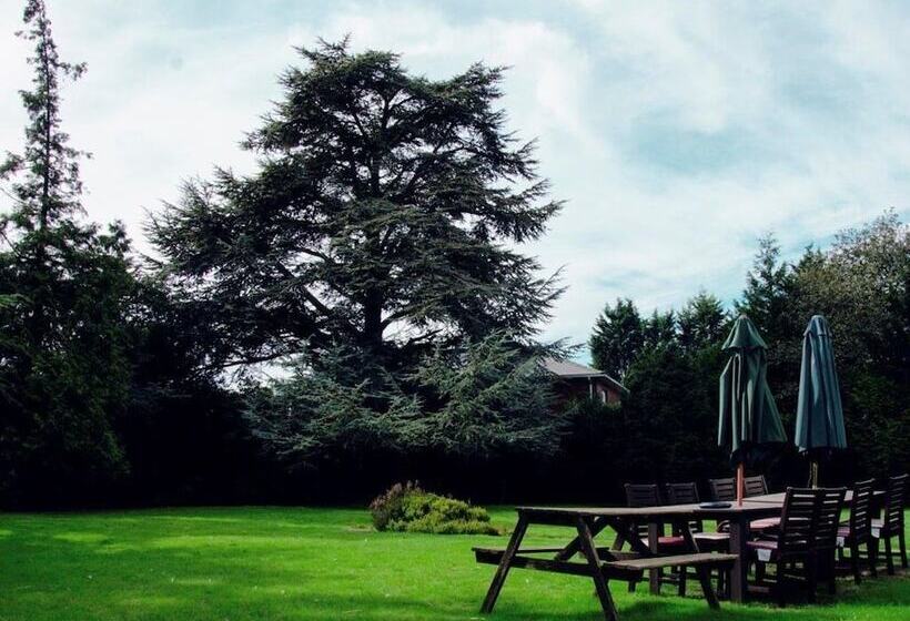 בית מלון כפרי The Nyton Guesthouse