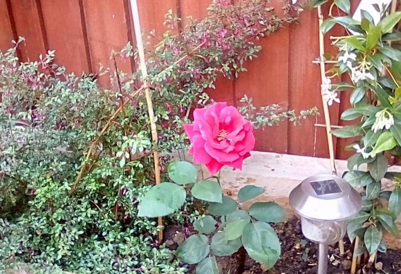 酒店 Oaklands House  Adults Only