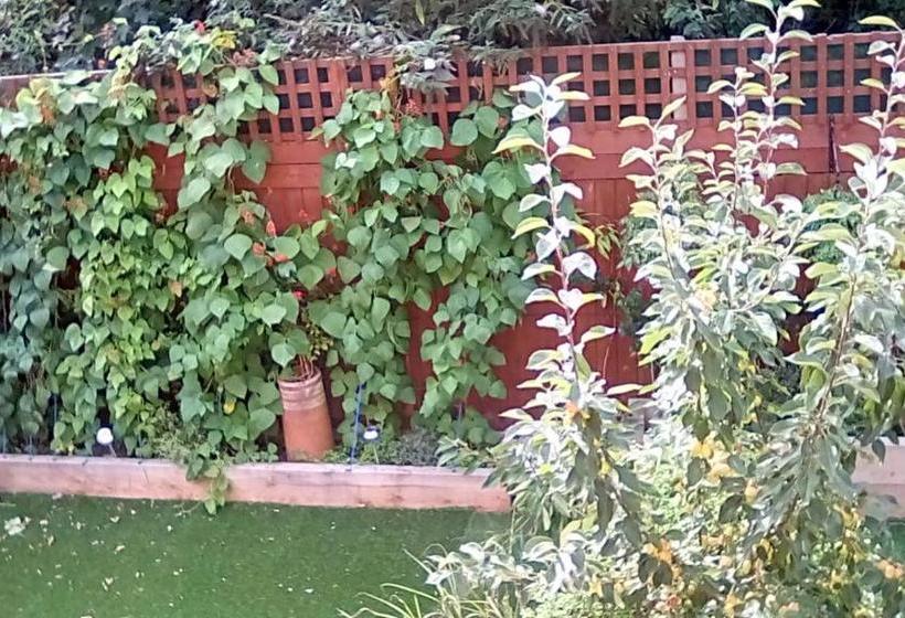 酒店 Oaklands House  Adults Only