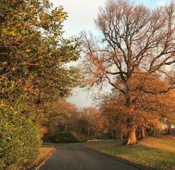 Отель Oswald House