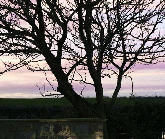 Отель Rufford Arms