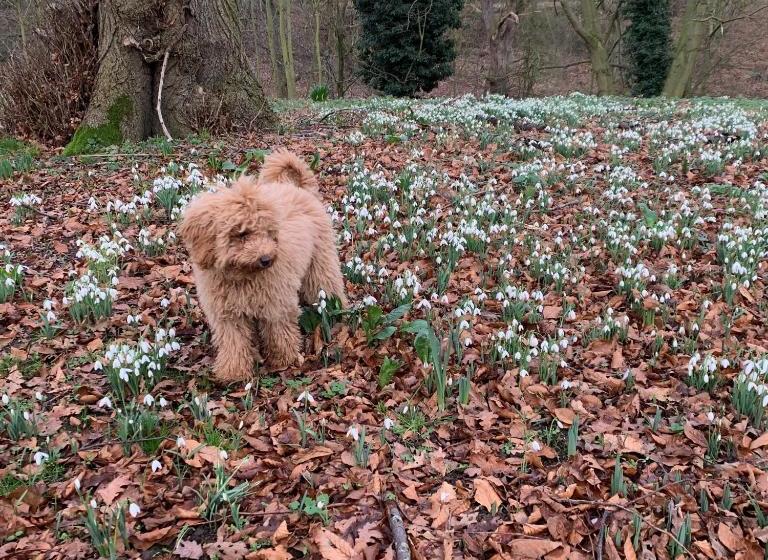 酒店 Scarborough Hill Country Inn