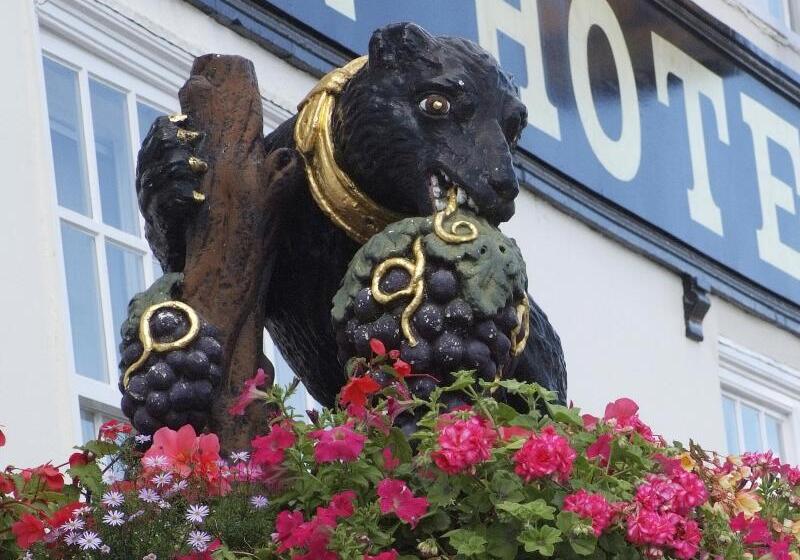 בית מלון כפרי The Bear