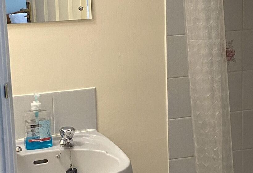 فندق The Belmont