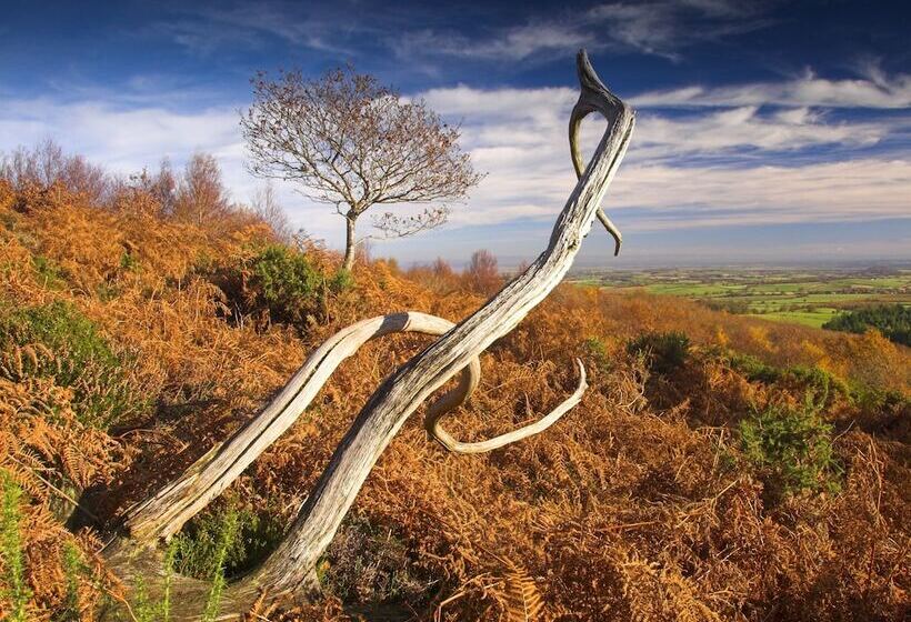 Отель The Hood Arms