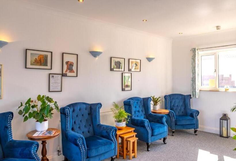 Отель The Shelbourne   Exclusivley For Adults