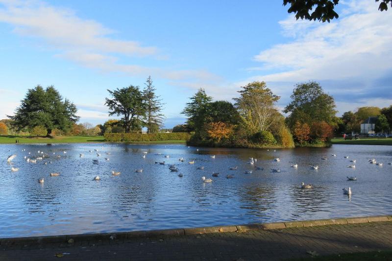 酒店 West End Guest House