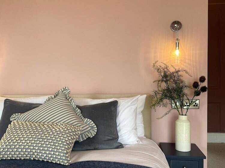 酒店 Maes Y Neuadd Country House