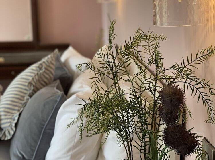 酒店 Maes Y Neuadd Country House