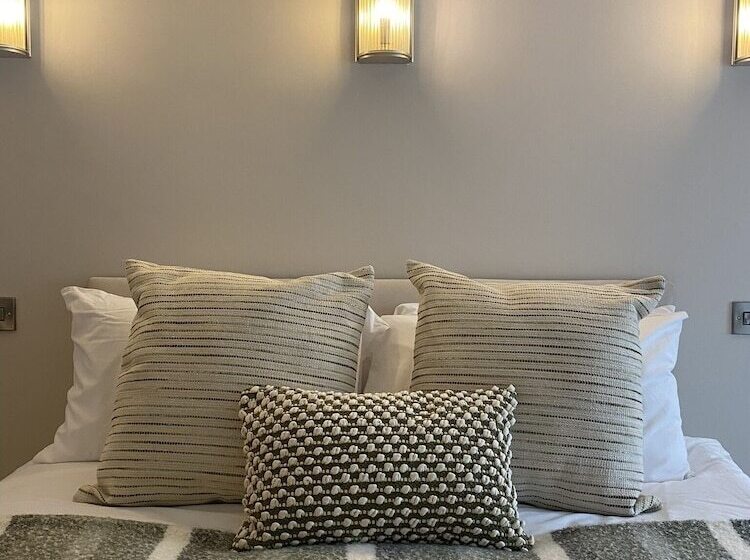 酒店 Maes Y Neuadd Country House