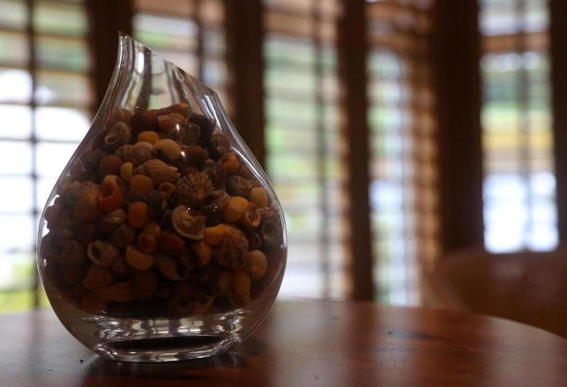 בית מלון כפרי Penryn House