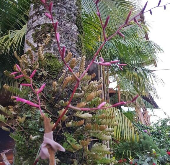 ホテル Cabaña Guainiana