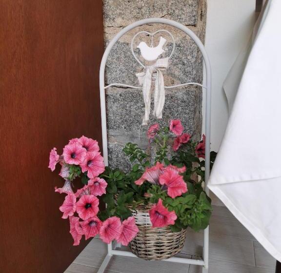 بنسيون Affittacamere Alisso