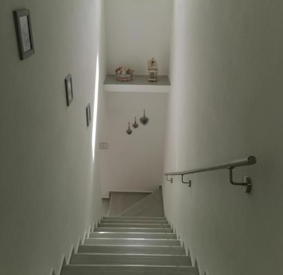 بنسيون Affittacamere Alisso