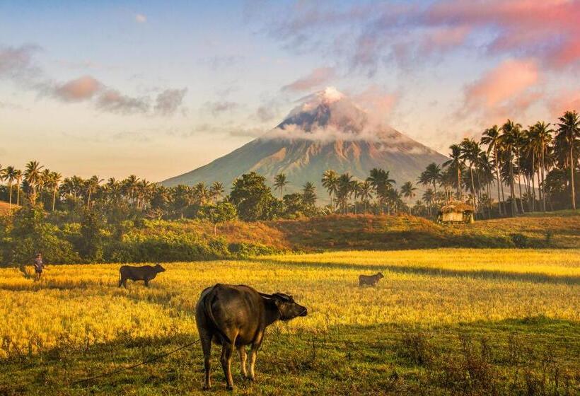 هاستل Reddoorz @ Golite Old Albay