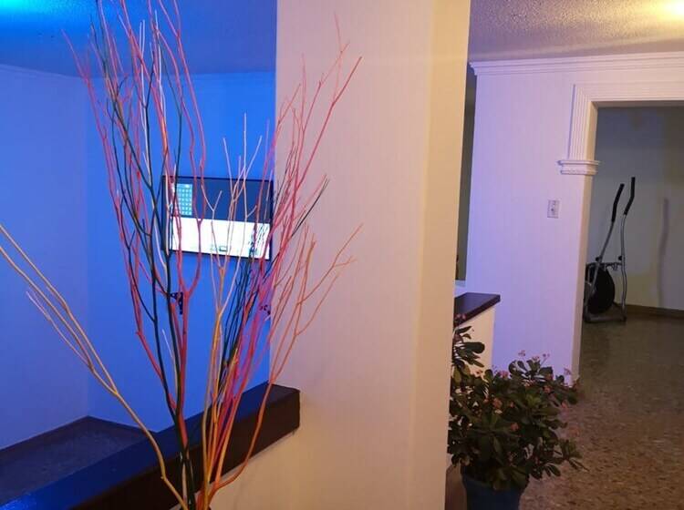 Green Door Boutique   Hostel