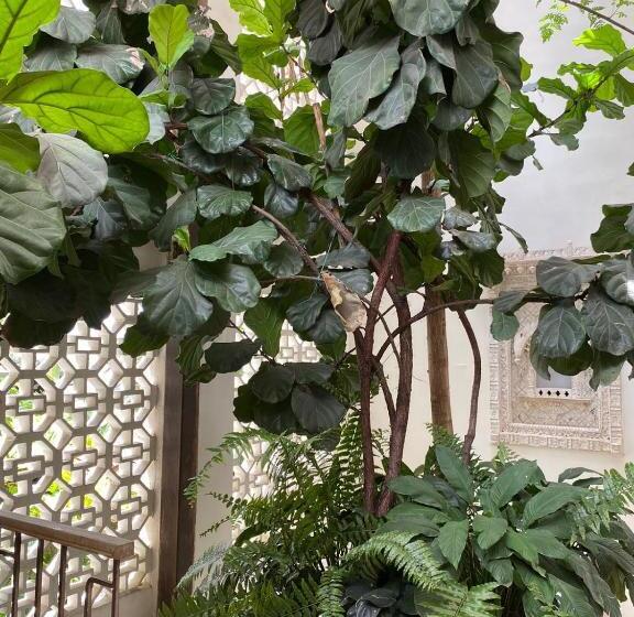 Alko Hotel Casa Nispero