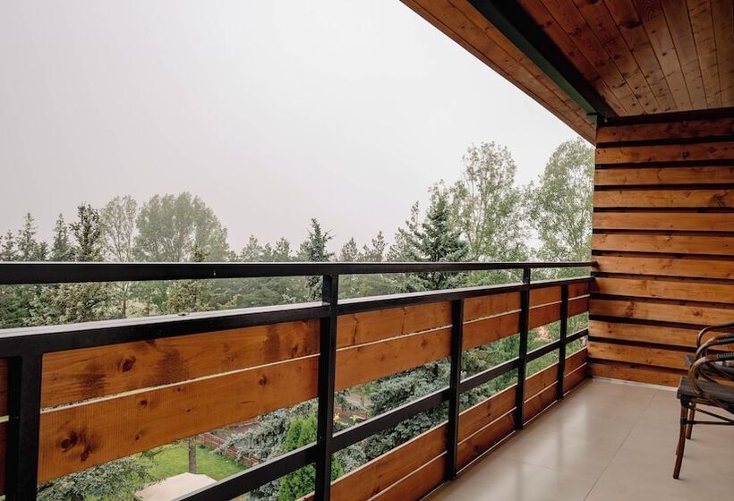 هتل Bakuriani Inn