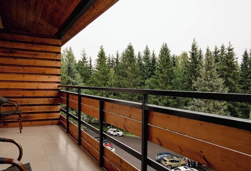 هتل Bakuriani Inn