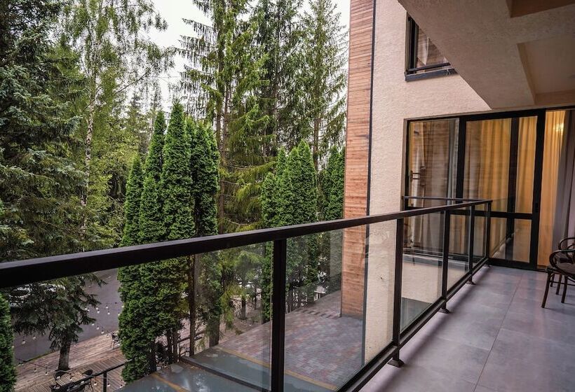 هتل Bakuriani Inn