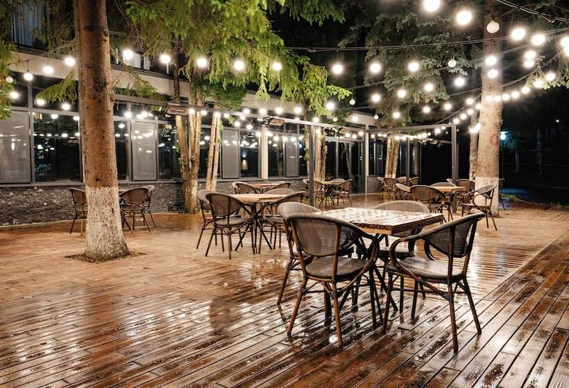 هتل Bakuriani Inn