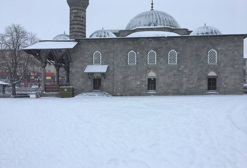 فندق Buyuk Akcay