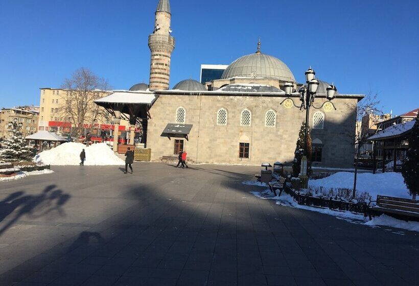 فندق Buyuk Akcay