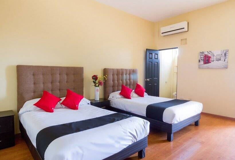 Отель Ecohabit Monterrey