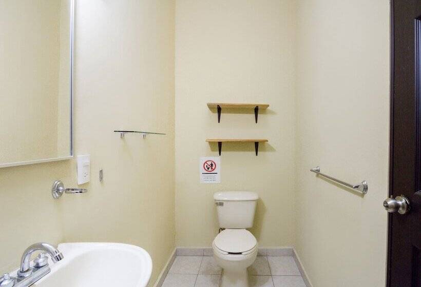 Отель Ecohabit Monterrey