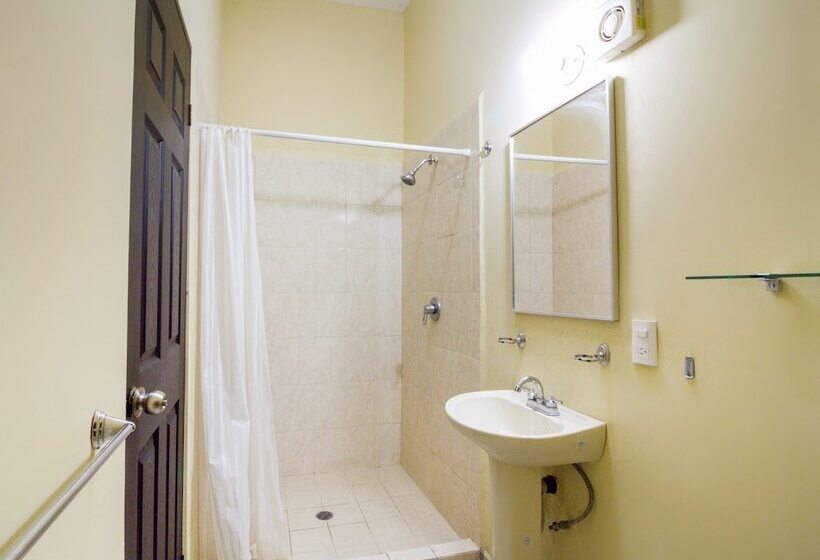 Отель Ecohabit Monterrey