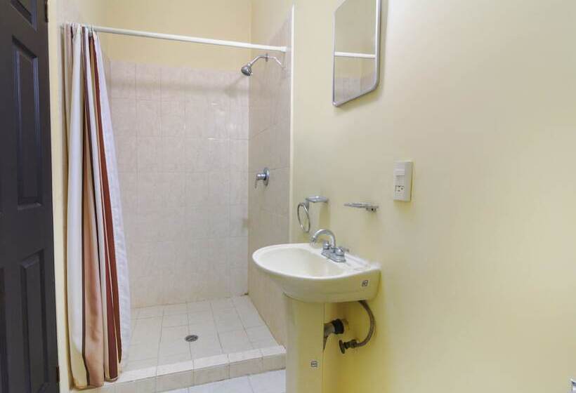 Отель Ecohabit Monterrey