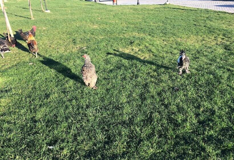 هتل Serife Baci Ogretmenevi Doga Kultur Koyu