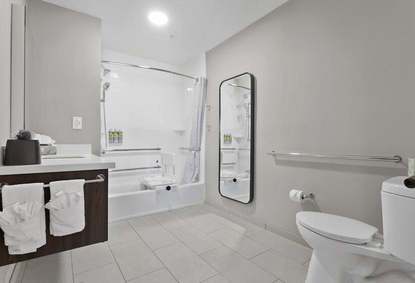 Отель Staybridge Suites Atlanta Ne Duluth, An Ihg