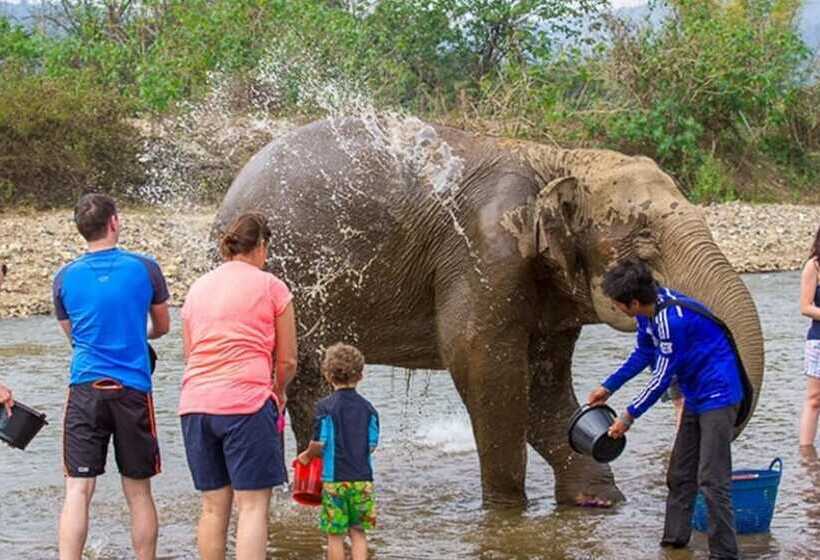 Pink Elephant Haveli   Hostel