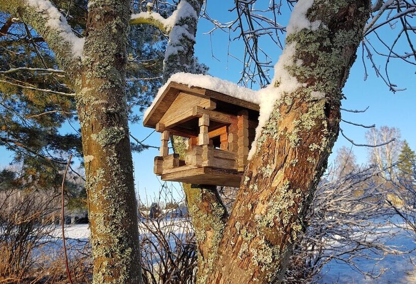 Apartment Garage House