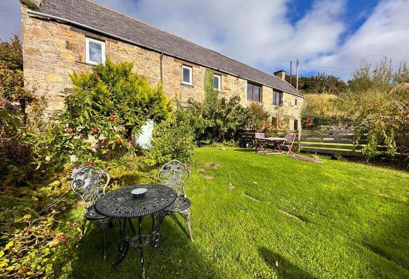 Bed and Breakfast Selkie House