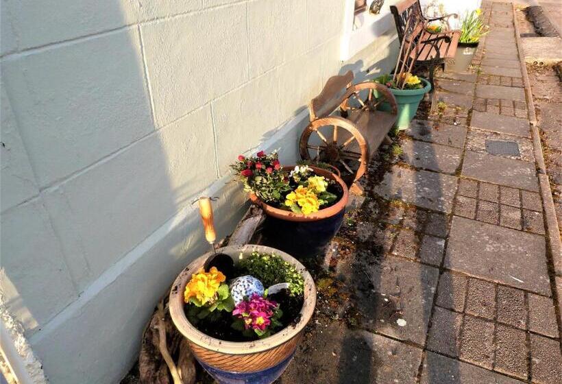 Bed and Breakfast Selkie House