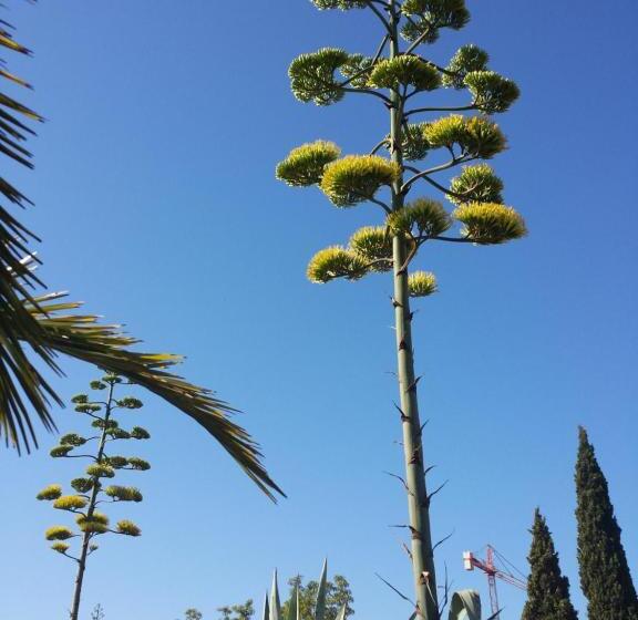 Отель Agroturismo Ca Na Joaneta