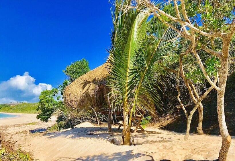 Отель Eden Bay Eco Lodge