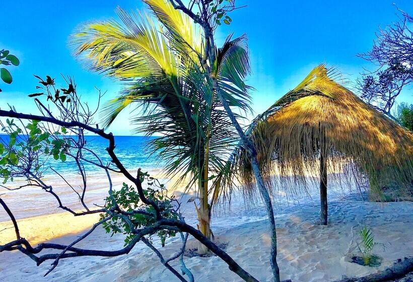 Отель Eden Bay Eco Lodge