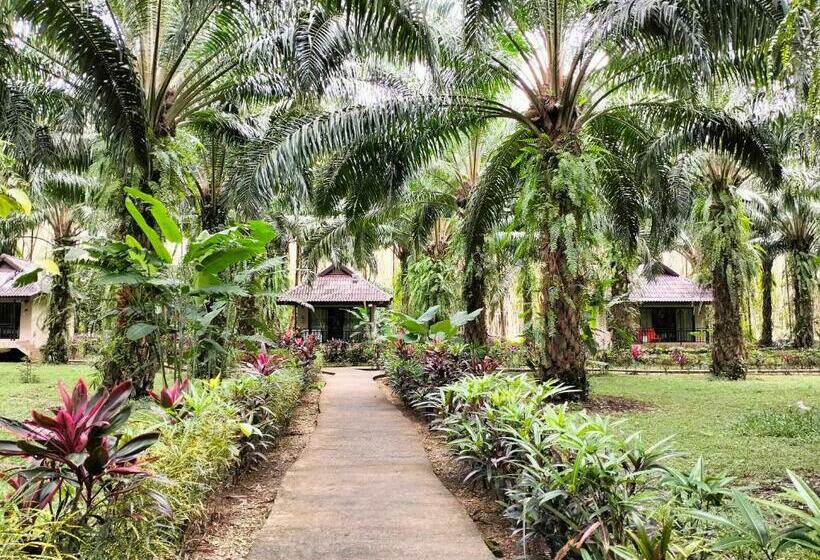 酒店 Khao Sok Palm Garden Resort
