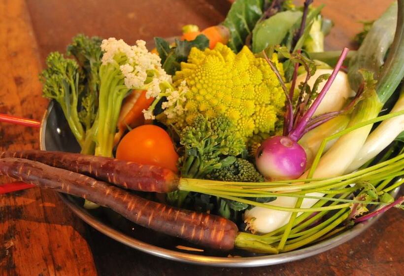 ホテル Shirahama Kosha