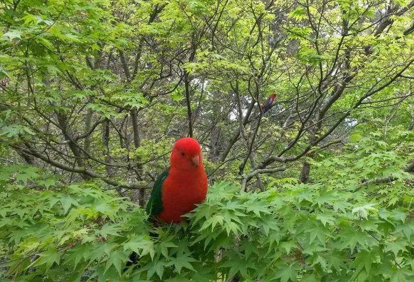 Leura Country Cottage