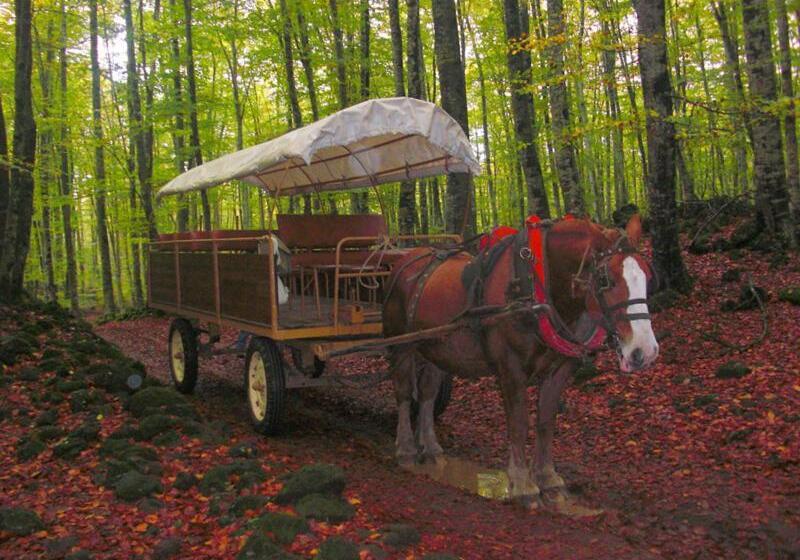 Пансион La Casa Dels Poetes