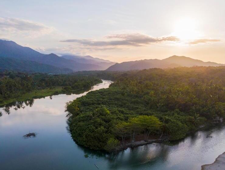 ユースホステル Villa Playa Tayrona, Los Naranjos