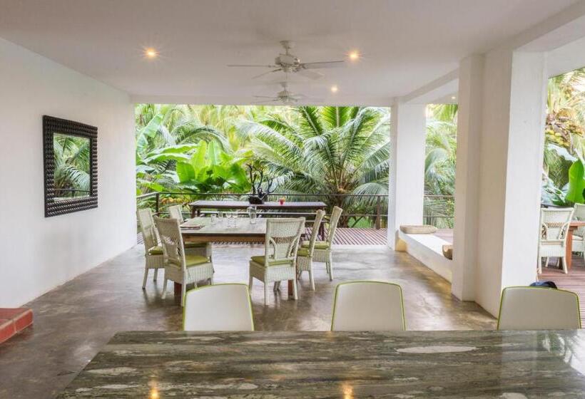 ユースホステル Villa Playa Tayrona, Los Naranjos