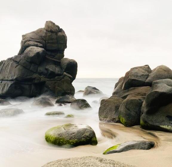 هاستل Villa Playa Tayrona, Los Naranjos