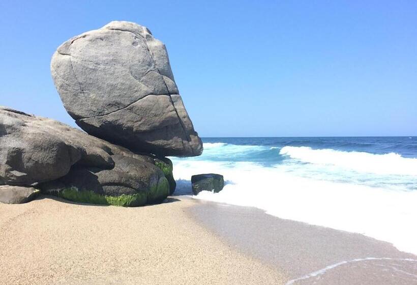 ユースホステル Villa Playa Tayrona, Los Naranjos