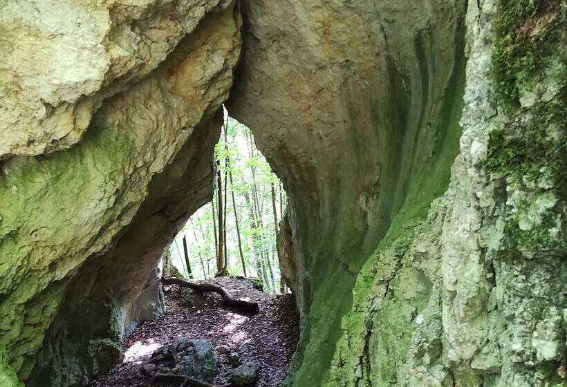 Apartment In The Middle Of Franconian Switzerland